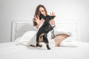 Dog Behaviorist ProTips To Stop Puppy Biting