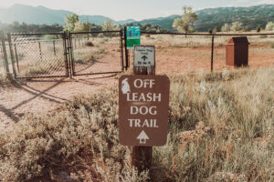 Off Leash Dog Training - What Is It And Where Do You Start?