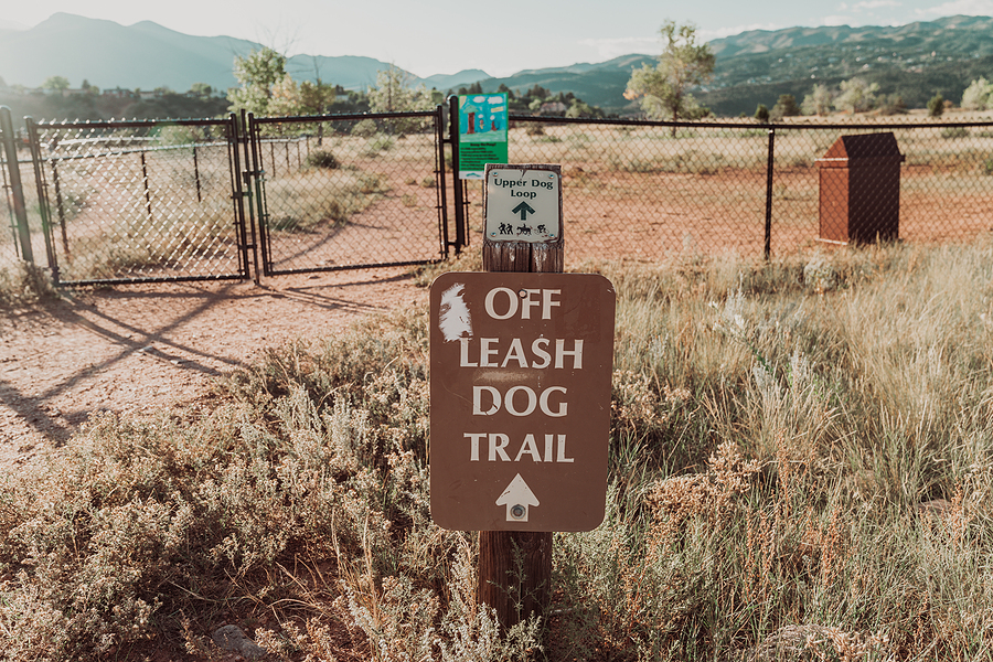Off Leash Dog Training - What Is It And Where Do You Start?