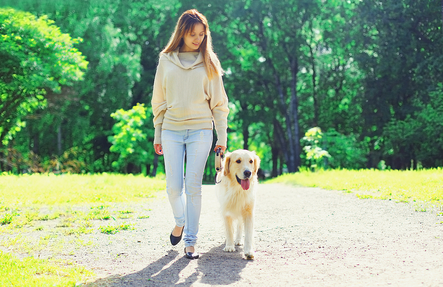 Leash Training a Puppy