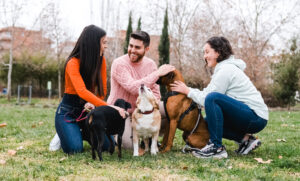 Socializing Your Dog: Doing It Right From the Start