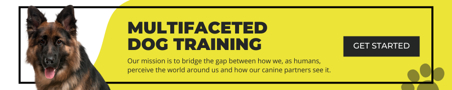 dog training mistakes