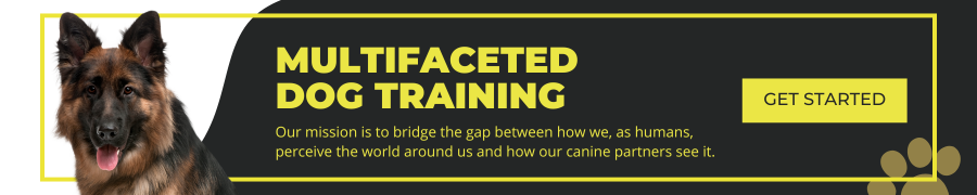 training your dog off leash