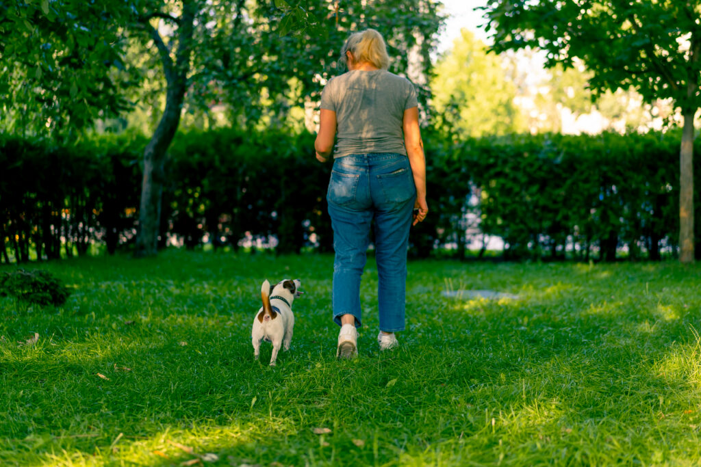 how to train your dog off leash